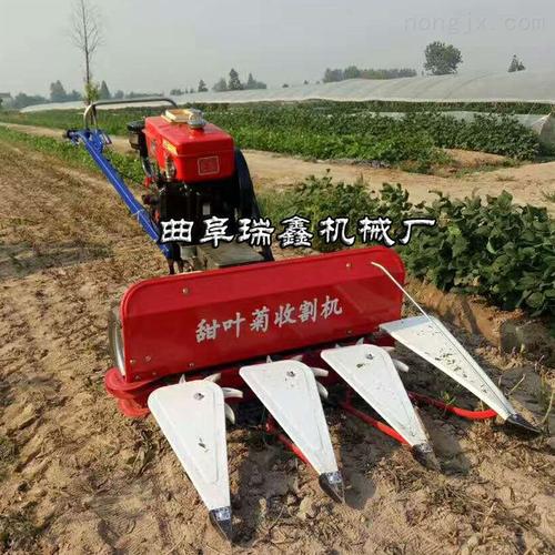 县黑麦草收割机 新型割晒机割台，开启高效收割新篇章